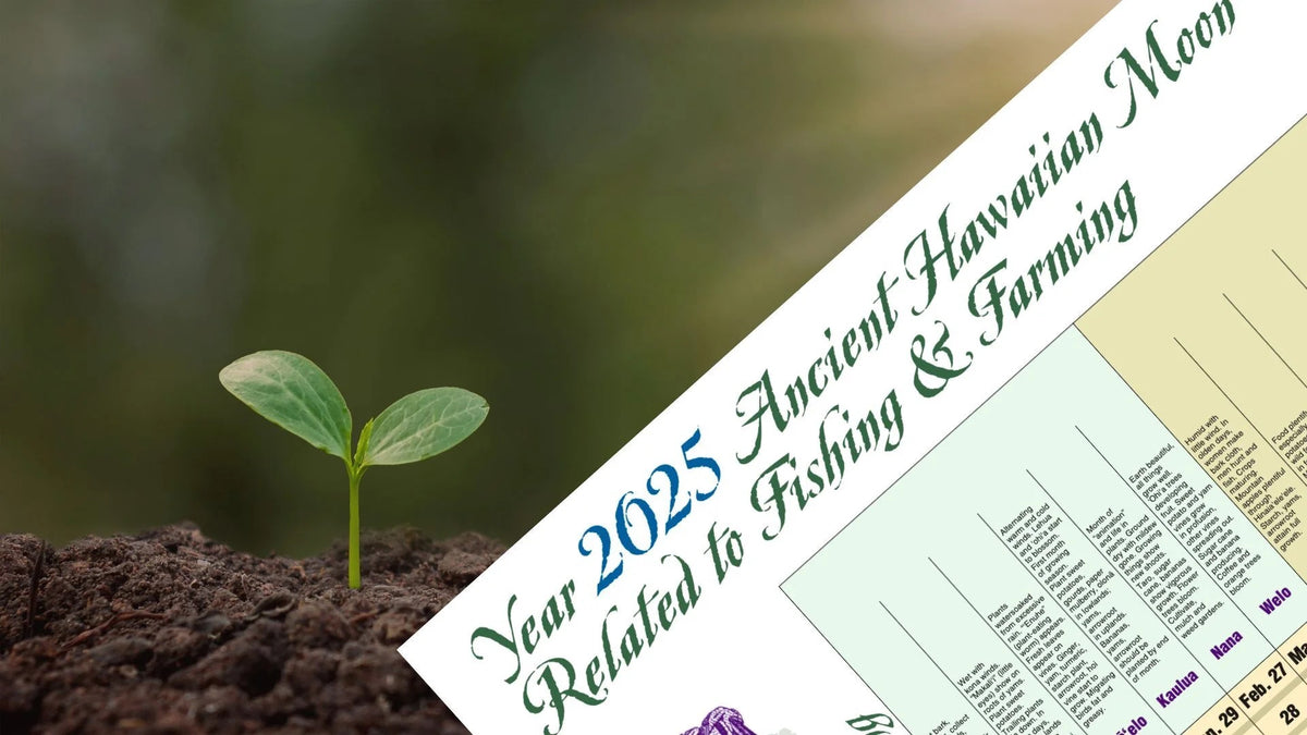2025 Hawaiian Fishing Farming Moon Calendar Native Books 2025 Hawaiian Fishing Farming Moon Calendar Native Books