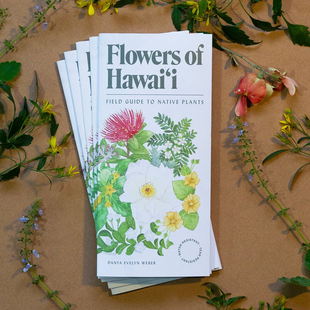 Flowers of Hawaiʻi Field Guide | Native Books