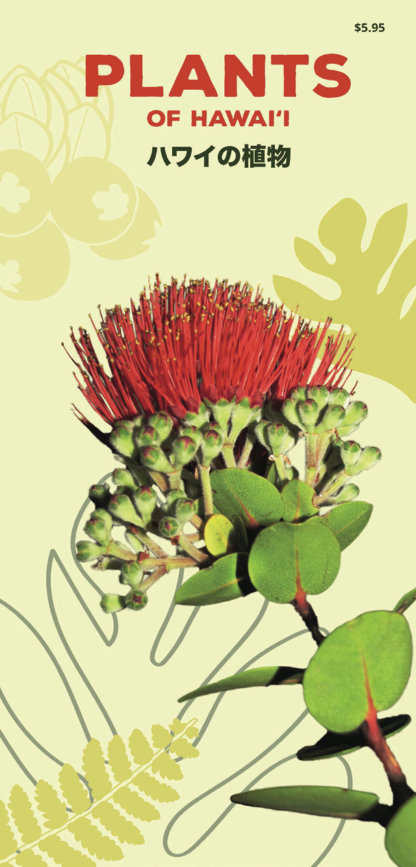 Plants of Hawai'i Pocket Guide | Native Books