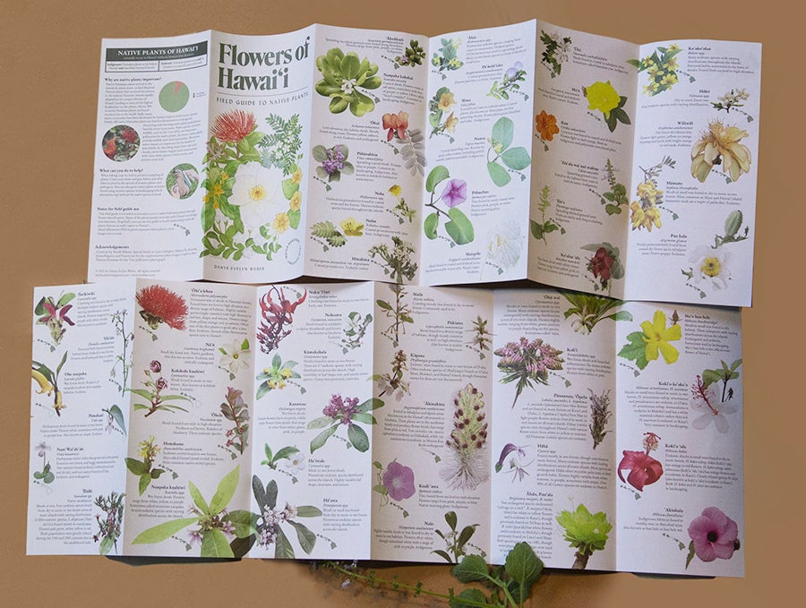 Flowers of Hawaiʻi Field Guide | Native Books