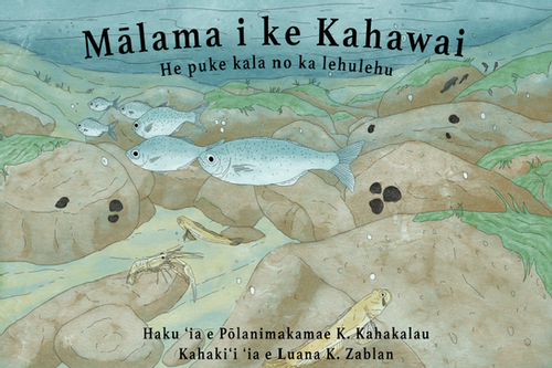 Mālama i ke Kahawai / Take Care of the Stream