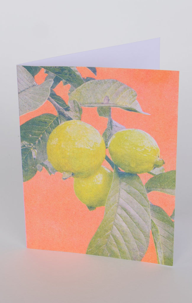 Pencil Urchin Press Greeting Cards