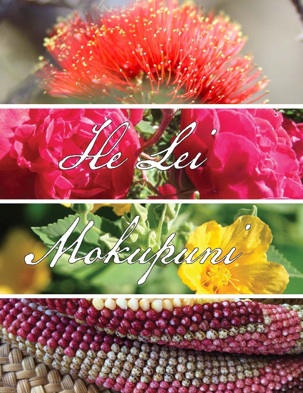 Hula, Oli & Mele | Native Books