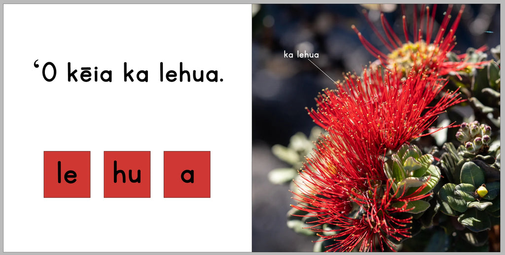 Ka Lehua