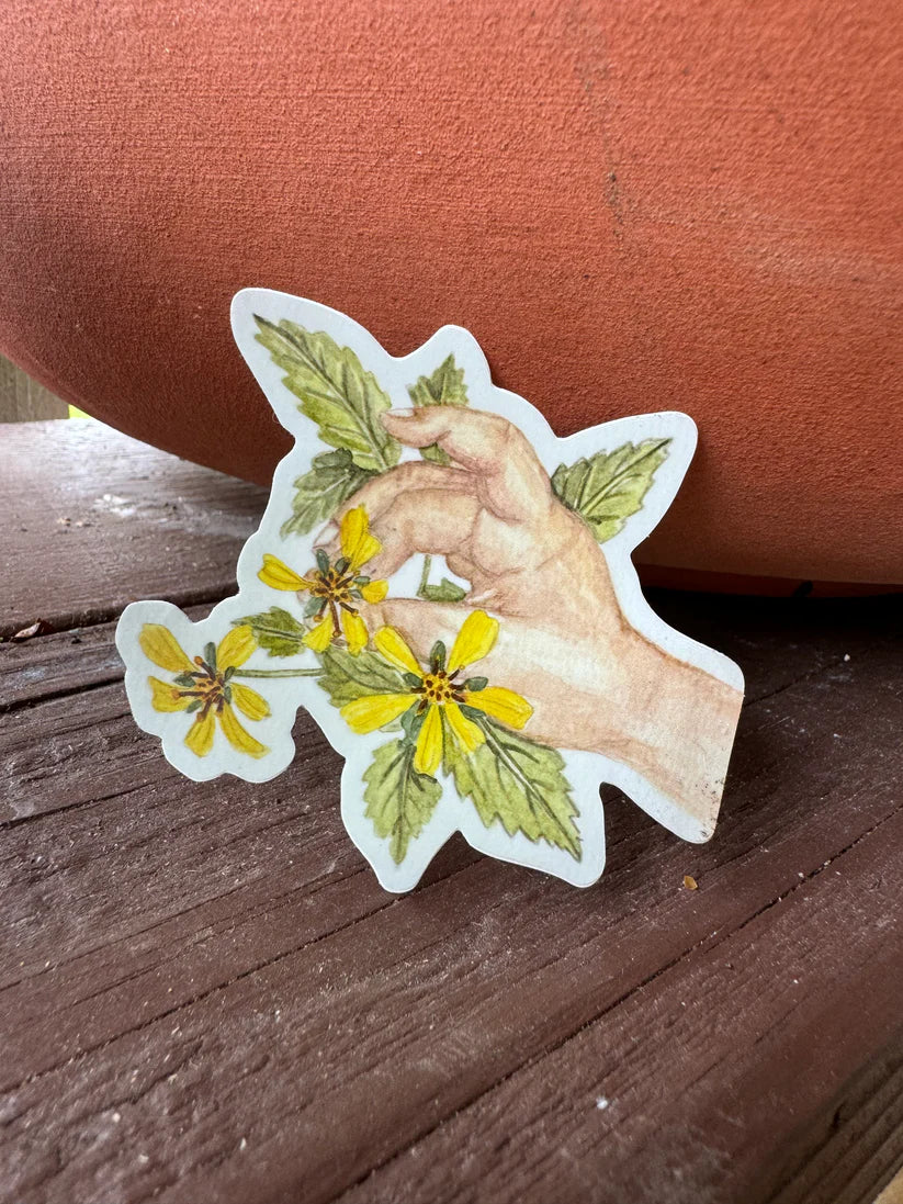 Kaleilehua Designs Sticker | Native Books