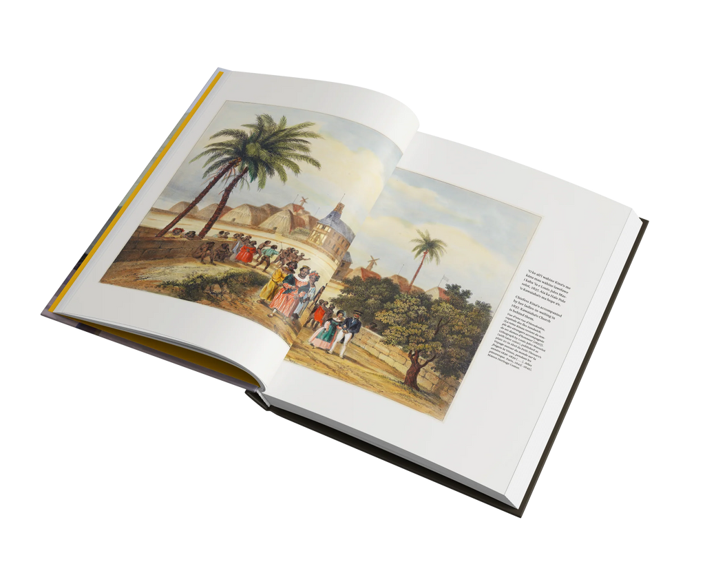 Nā Hunahuna ʻIke Hawai'i: Hawaiian Insights | Native Books