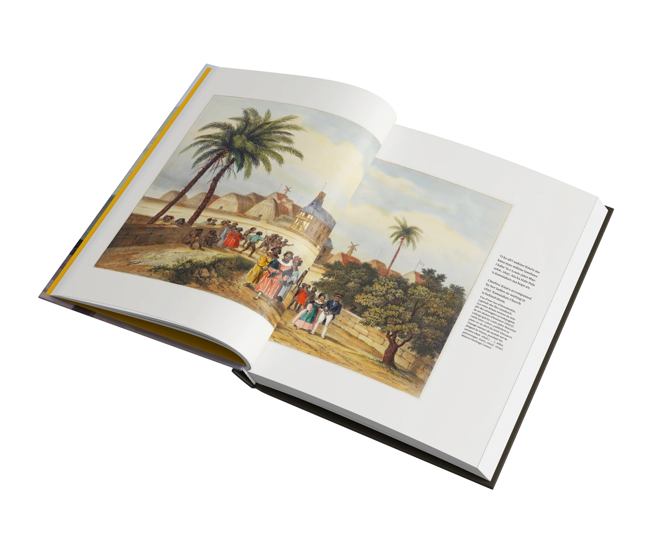 Nā Hunahuna ʻIke Hawai'i: Hawaiian Insights | Native Books