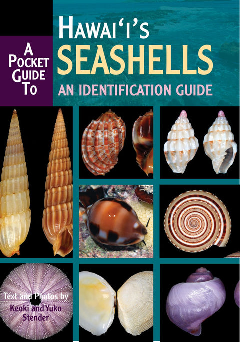 Pocket Guide to Hawaii's Seashells | Native Books