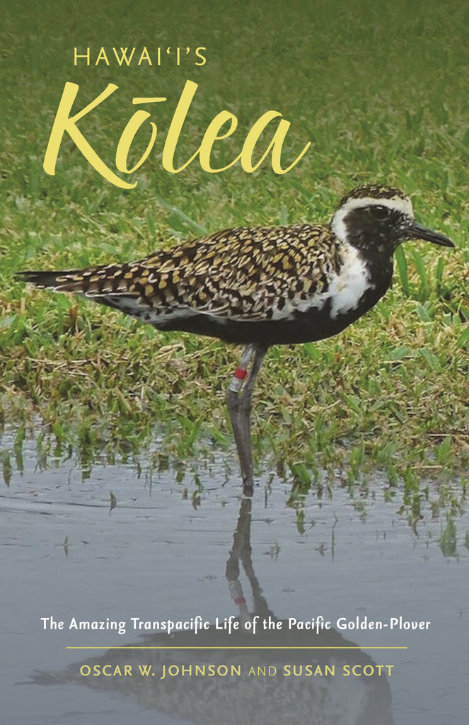 Hawaii’s Kolea: The Amazing Transpacific Life of the Pacific Golden-Plover
