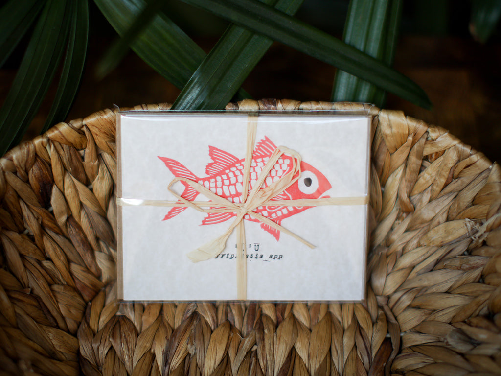 Nakui Studios Greeting Card Set