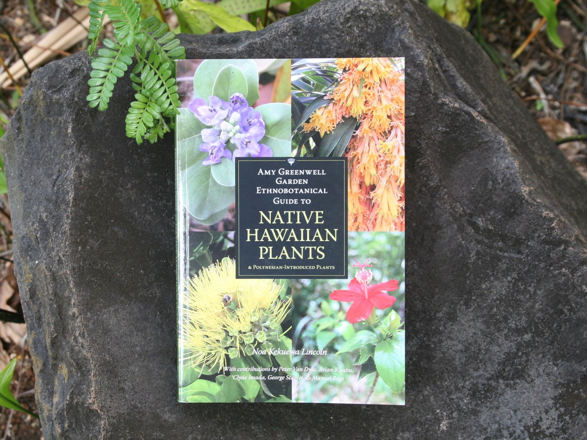 Amy Greenwell Garden Ethnobotanical Guide to Native Hawaiian