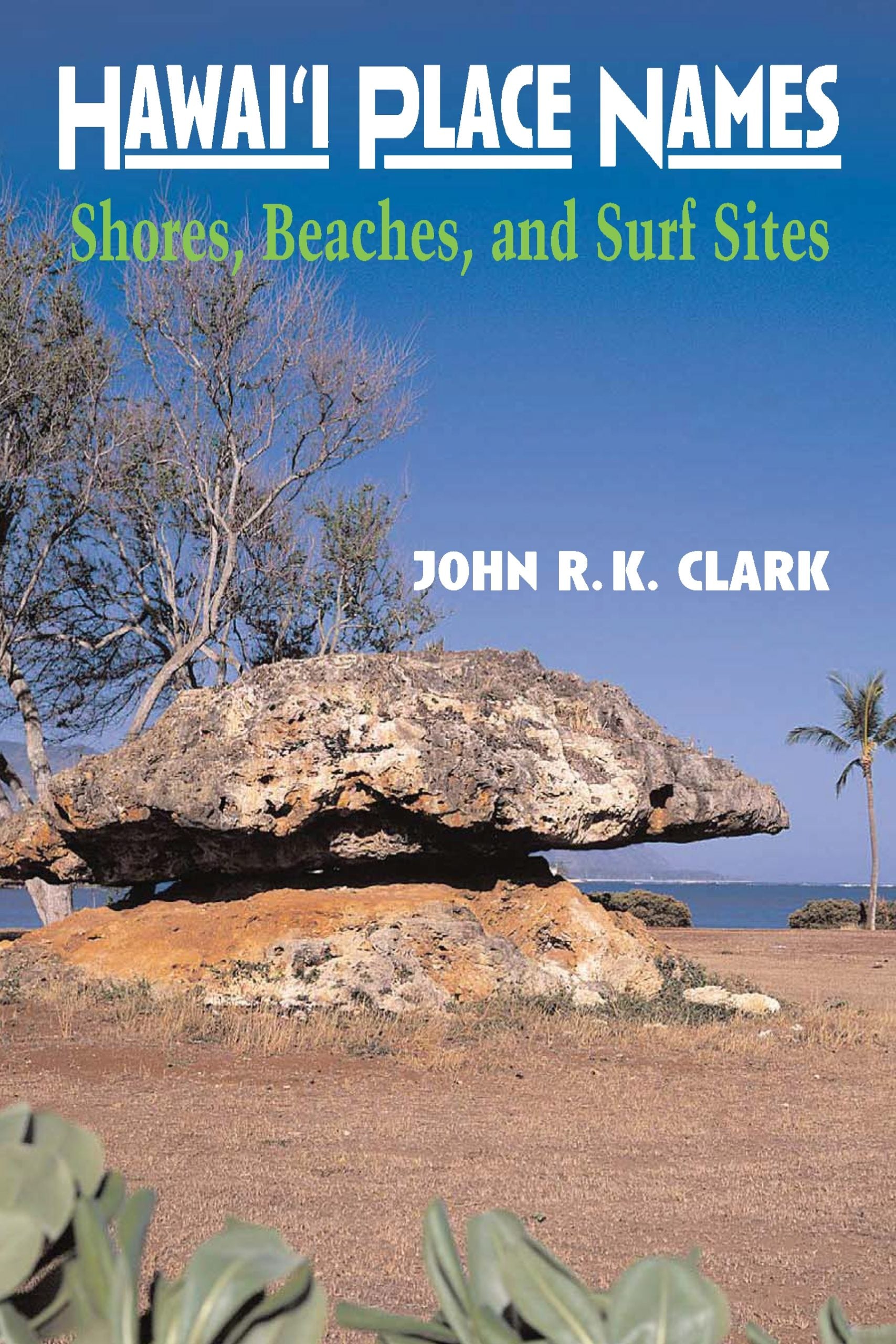 Rk surf shop hotsell