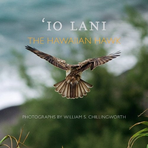 ʻIo Lani: The Hawaiian Hawk