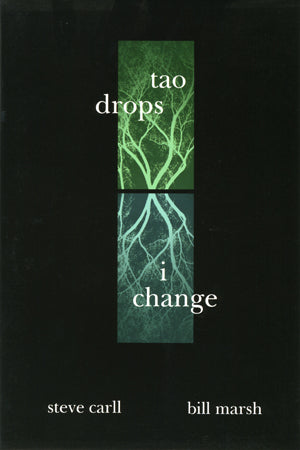tao drops i change
