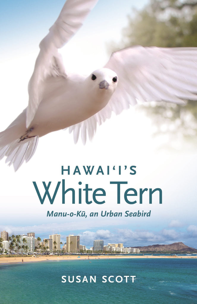 Hawaiʻi’s White Tern: Manu-o-Kū, an Urban Seabird