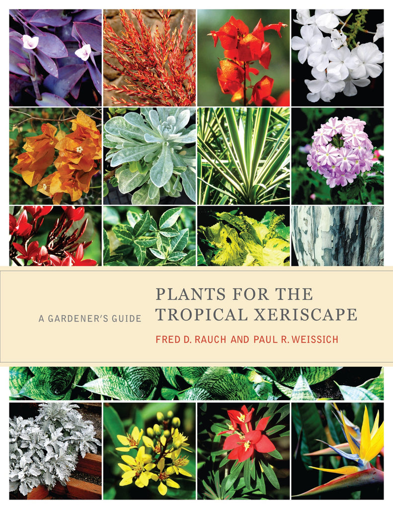 Plants for the Tropical Xeriscape: A Gardener’s Guide